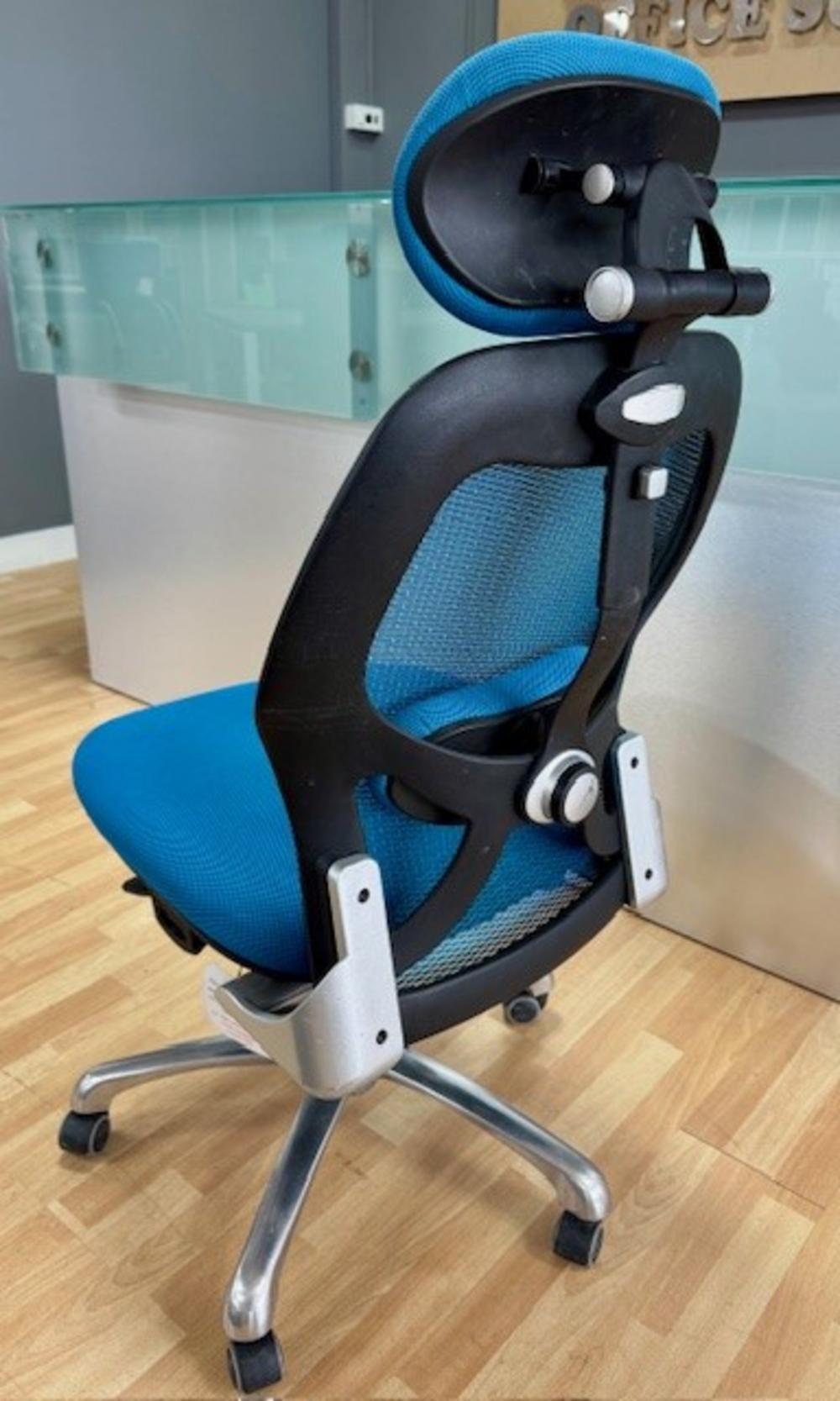 Mesh Back Ergo Chair with Headrest