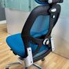 Mesh Back Ergo Chair with Headrest