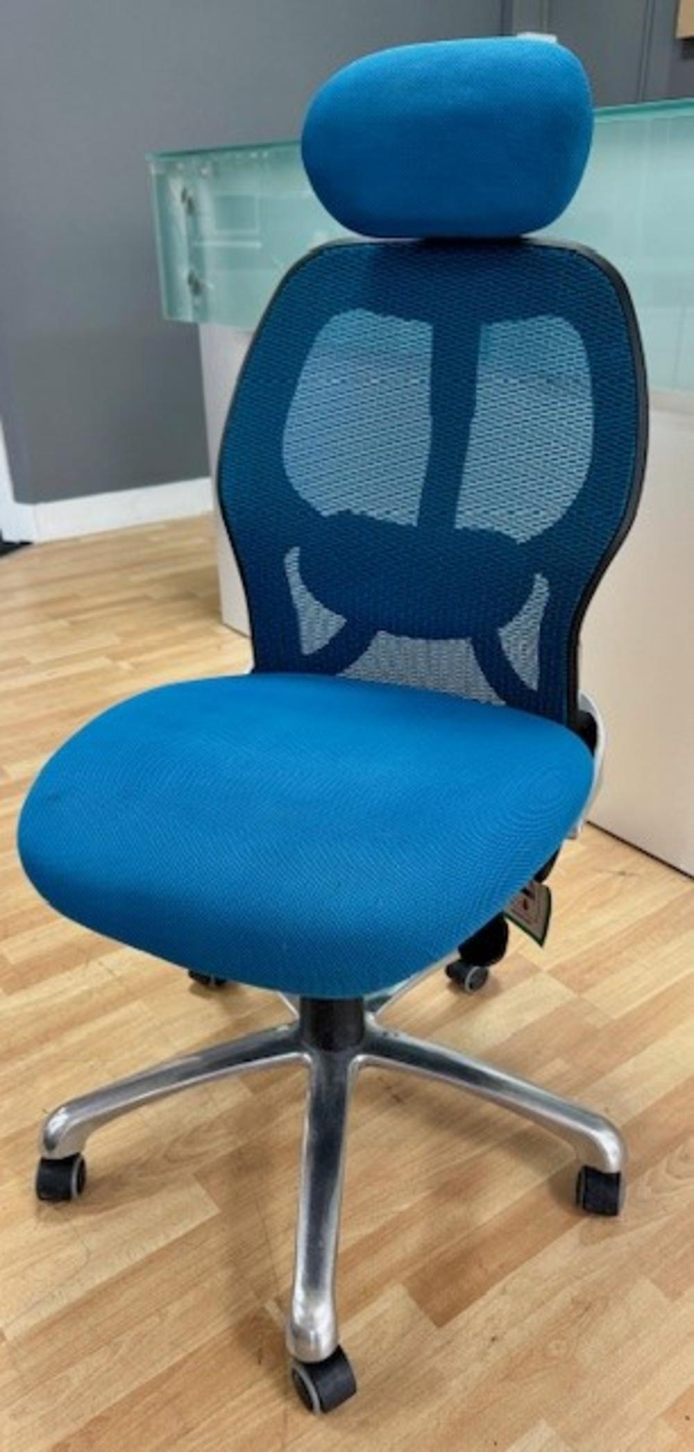 Mesh Back Ergo Chair with Headrest
