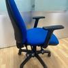 Alliance Task Chair with Pump Up Lumbar & Adjustable Arms