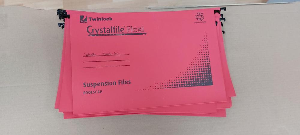 20x Red Twinlock Crystal Suspension Files Flexi 