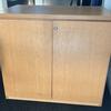 Light Oak Double Door Cabinet With Adjustable Shelf