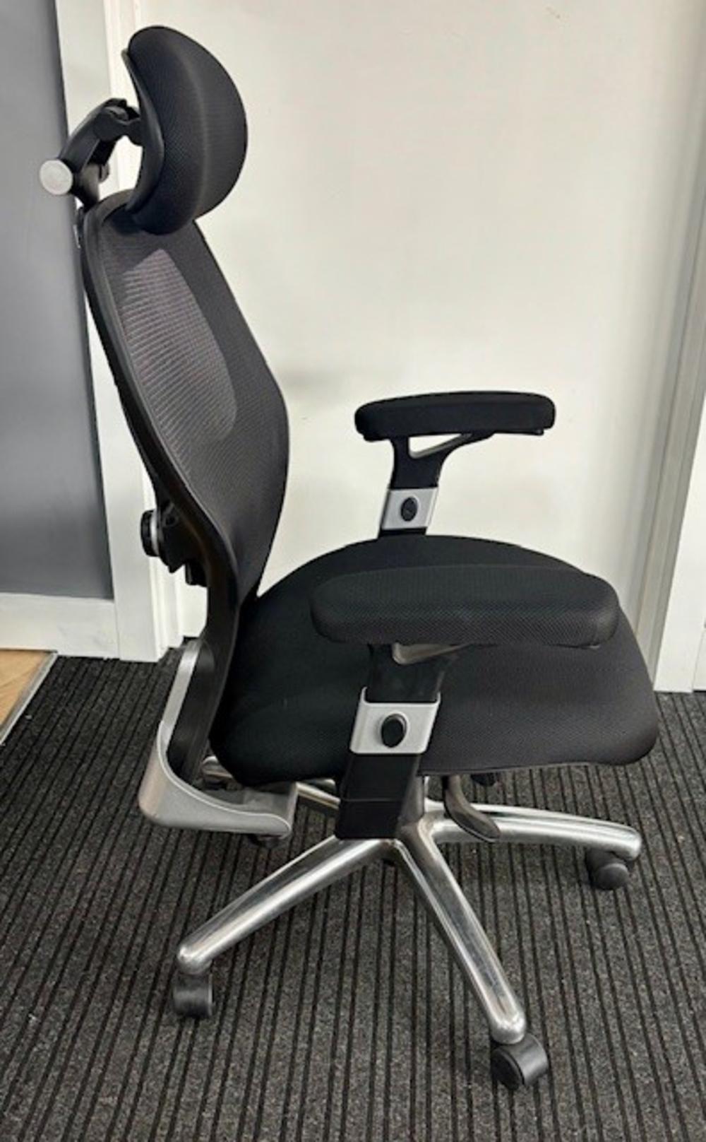 Ergo Black Mesh Executive Task Chair with Headrest and Adjustable Arms