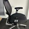 Ergo Black Mesh Executive Task Chair with Headrest and Adjustable Arms