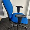 Alliance Blue Task Chair with Pump Up Lumbar and Adjustable Arms